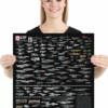 Star Trek Scale Chart - June 2023 Print - Image 2